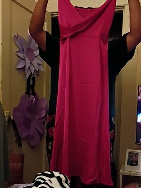 Women’s Pictorial Carmine Pink Sleeveless Dress